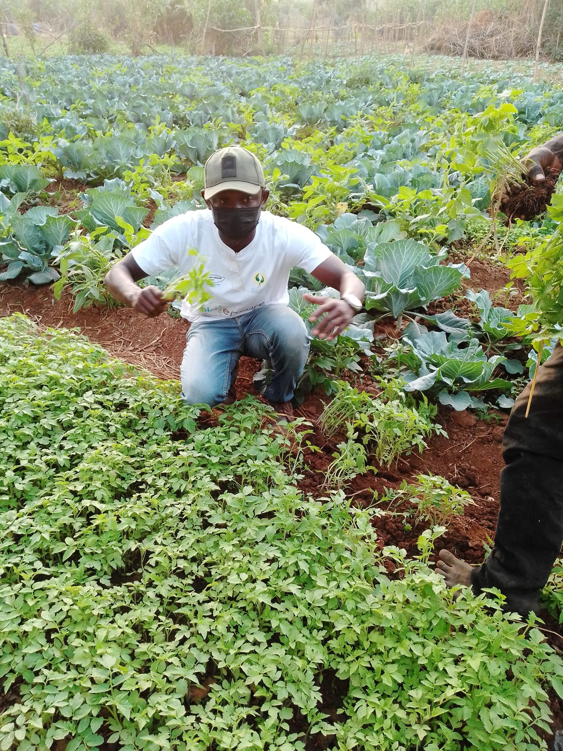 ACRS field team at work